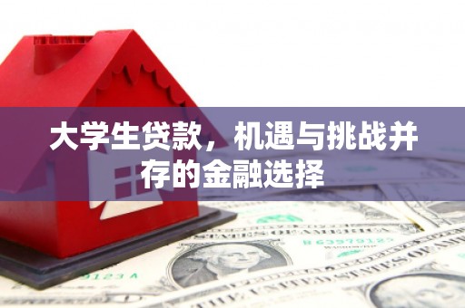 掇刀大学生贷款，机遇与挑战并存的金融选择