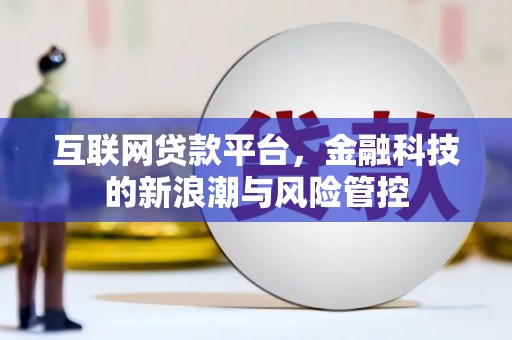 掇刀互联网贷款平台，金融科技的新浪潮与风险管控