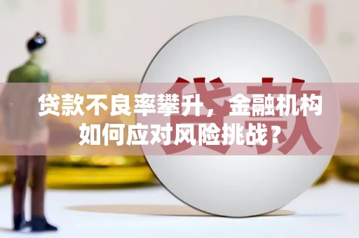 掇刀贷款不良率攀升，金融机构如何应对风险挑战？