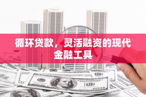 掇刀循环贷款，灵活融资的现代金融工具